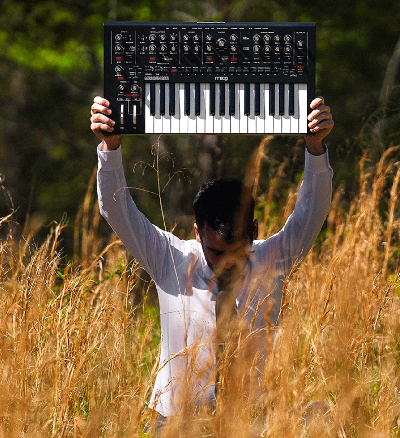 Moog Messanger